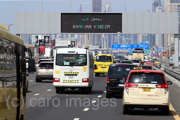 00S230323D316CAROEX.JPG