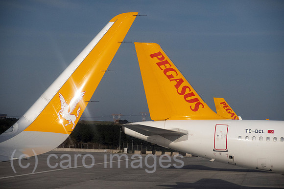 00S230321D275CAROEX.JPG