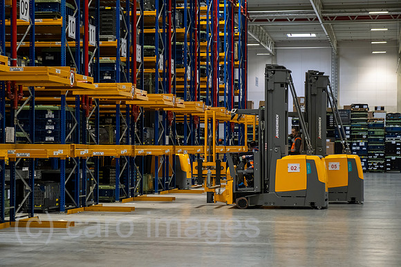 00A230502D288CAROEX.JPG