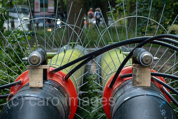 00A230627D27CAROEX.JPG