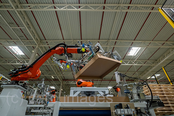 00A230502D373CAROEX.JPG