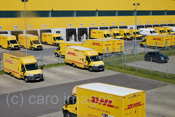 00R230509D109CAROEX.JPG