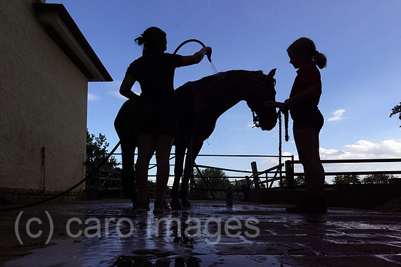 00S220822D527CAROEX.JPG