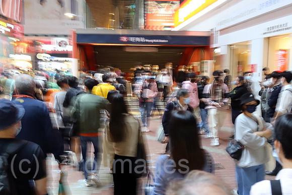 00S221210D808CAROEX.JPG