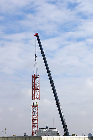 00S220929D679CAROEX.JPG