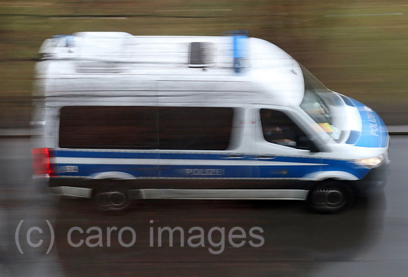 00S221219D247CAROEX.JPG