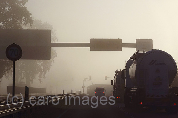 00S221026D229CAROEX.JPG