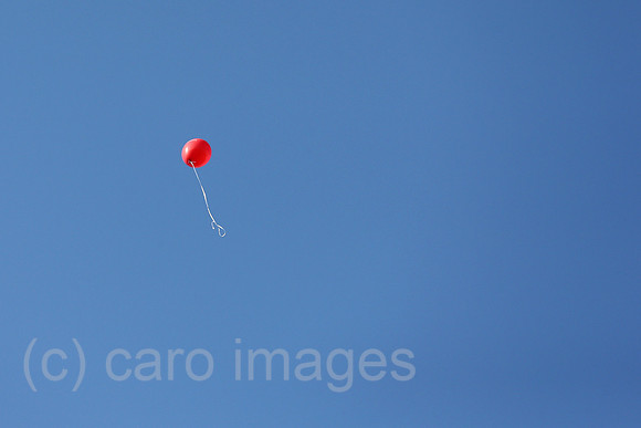 00S220924D672CAROEX.JPG