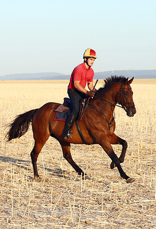 00S220823D557CAROEX.JPG