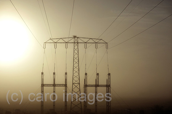 00S221026D225CAROEX.JPG