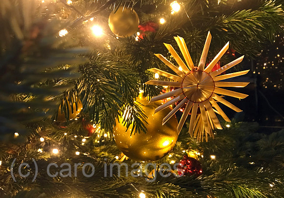00S221215D838CAROEX.JPG