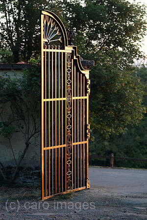 00S220823D152CAROEX.JPG