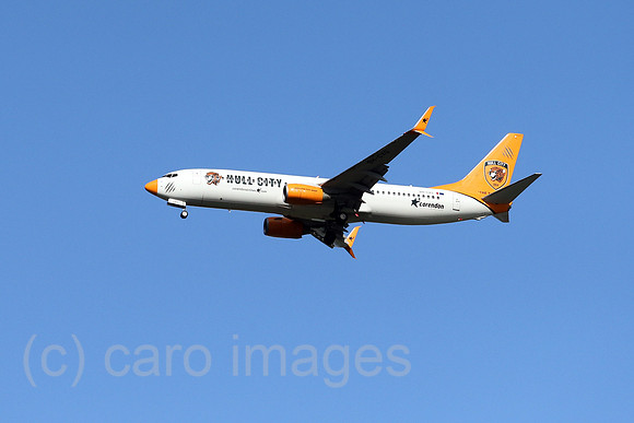 00S221002D684CAROEX.JPG
