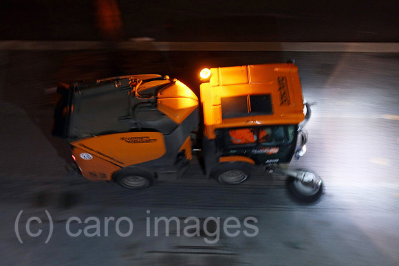00S221230D250CAROEX.JPG
