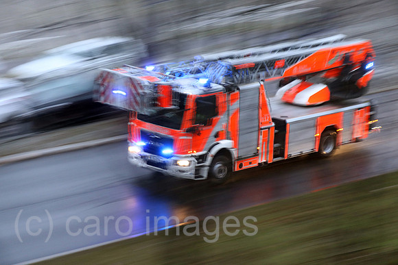 00S230104D256CAROEX.JPG