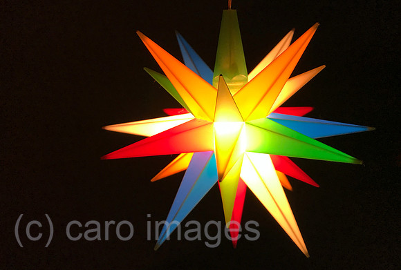 00S221221D857CAROEX.JPG