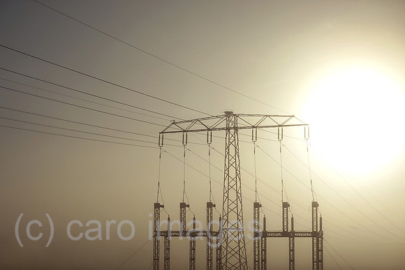 00S221026D224CAROEX.JPG