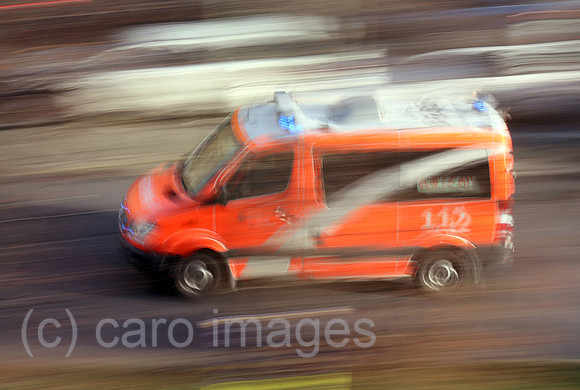 00S230105D266CAROEX.JPG