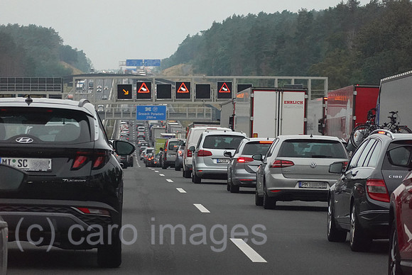 00S220819D130CAROEX.JPG