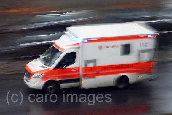 00S221219D248CAROEX.JPG