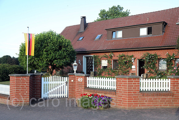 00S220824D171CAROEX.JPG
