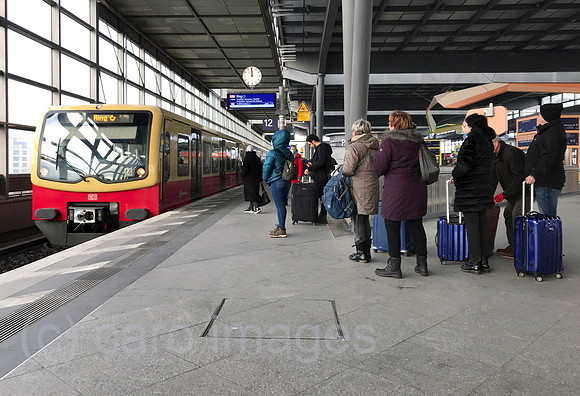 00S221216D856CAROEX.JPG