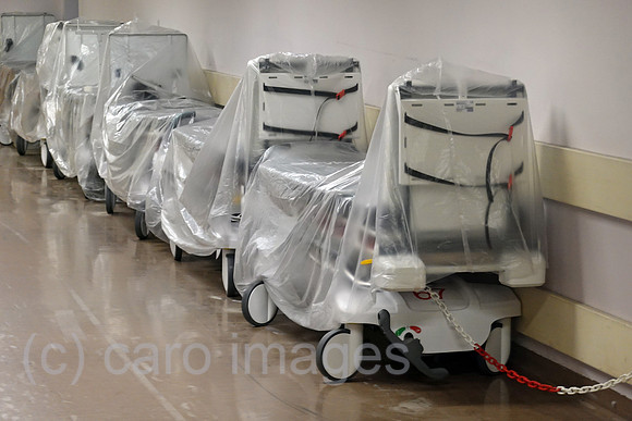 00S220912D447CAROEX.JPG