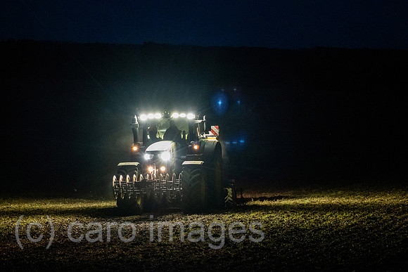 00A210819D1325CAROEX.JPG