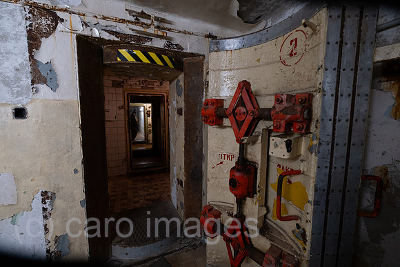 00A220813D031CAROEX.JPG