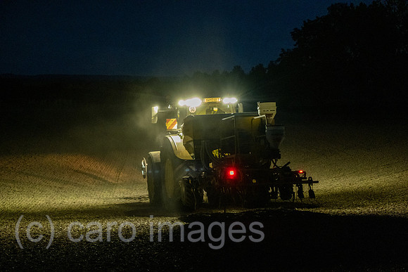 00A210819D1329CAROEX.JPG