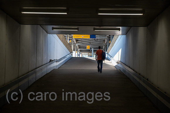 00A220815D191CAROEX.JPG