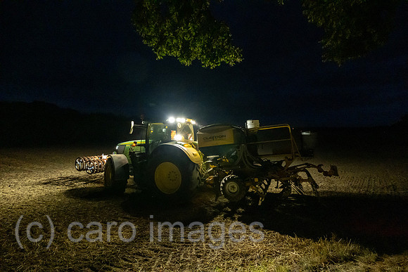 00A210819D1361CAROEX.JPG