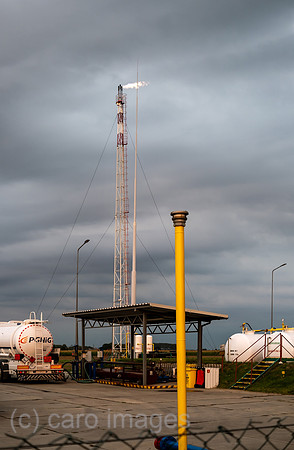 00A230822D010CAROEX.JPG