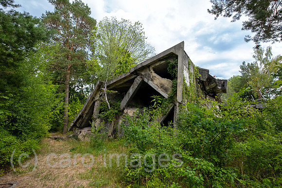 00A220813D001CAROEX.JPG