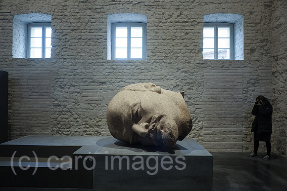 0PA160427D057CARO.JPG