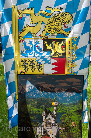 0SL160601D060CARO.JPG