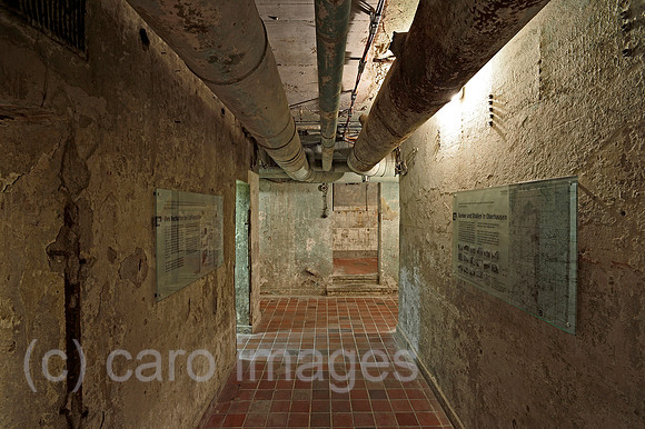 0RL160316D009CARO.JPG