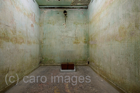 0RL160316D017CARO.JPG