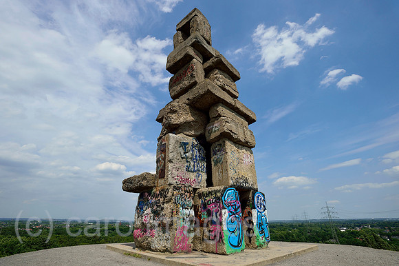 0RL160505D070CARO.JPG