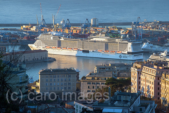 0CE220117D001CAROEX.JPG