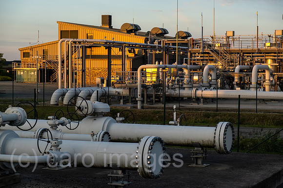 00A220829D084CAROEX.JPG