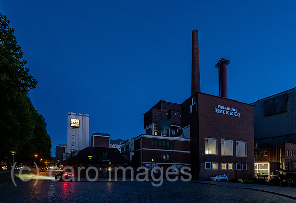 00A220911D115CAROEX.JPG