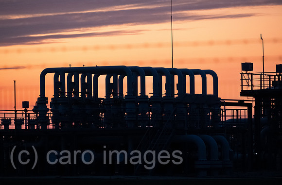 00A220829D172CAROEX.JPG