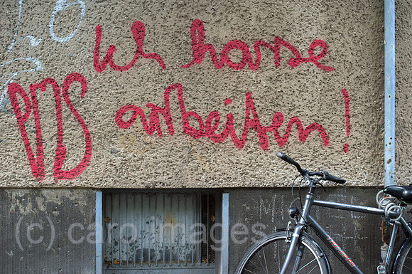 0CE220528D001CAROEX.JPG