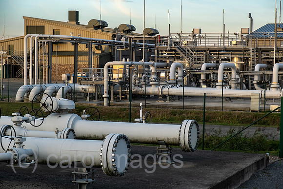 00A220829D064CAROEX.JPG