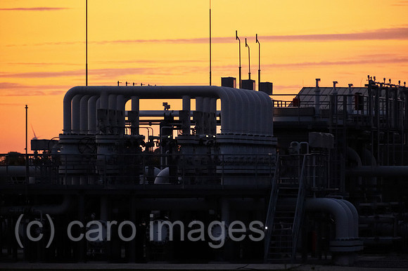 00A220829D181CAROEX.JPG
