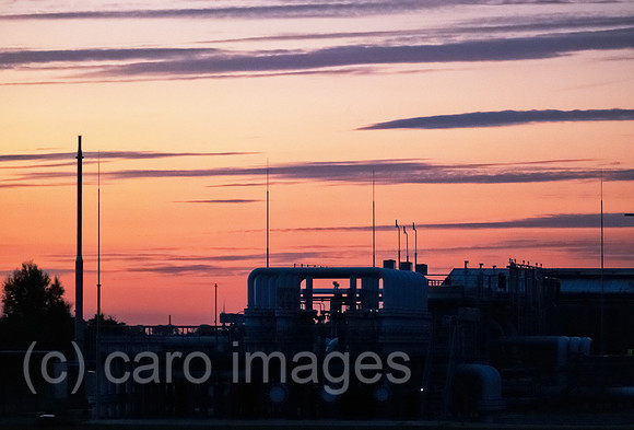 00A220829D190CAROEX.JPG