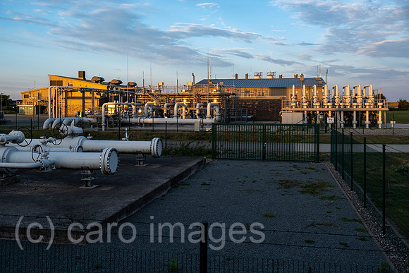 00A220829D086CAROEX.JPG