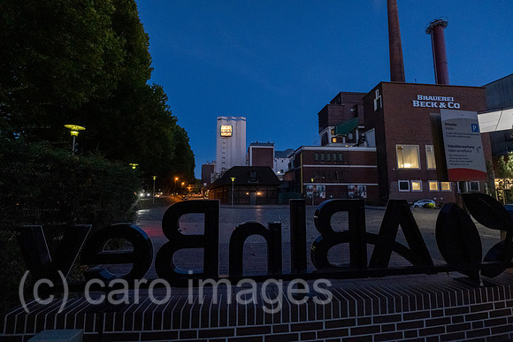 00A220911D118CAROEX.JPG