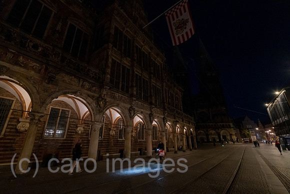 00A220911D183CAROEX.JPG